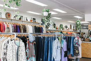 布里斯班的黃色二手店 全球?qū)氄叩脑?shī)意棲居